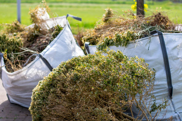 Best Office Junk Removal  in Saylorsburg, PA
